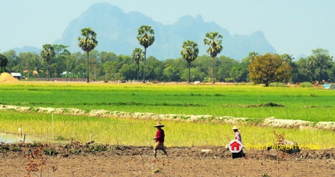 လယ်ယာမြေကို ဝယ်၍ နေထိုင်ကြမည်ဆိုလျှင်