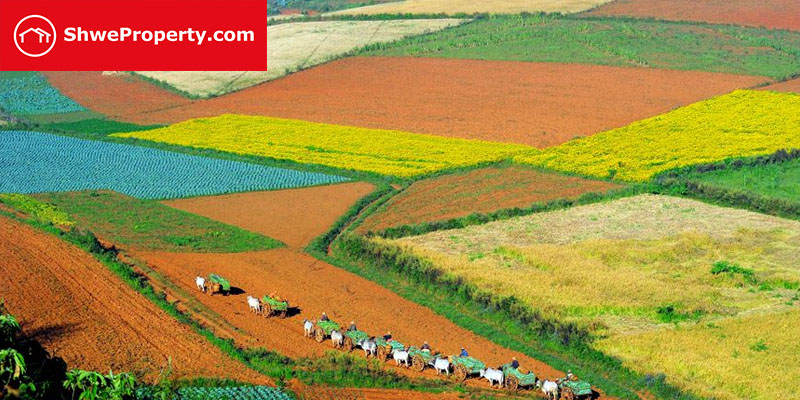 အက္ခရာနဲ့ အရောင်ပေါ်မူတည်၍ မြေအမျိုးအစားခွဲခြားနည်း