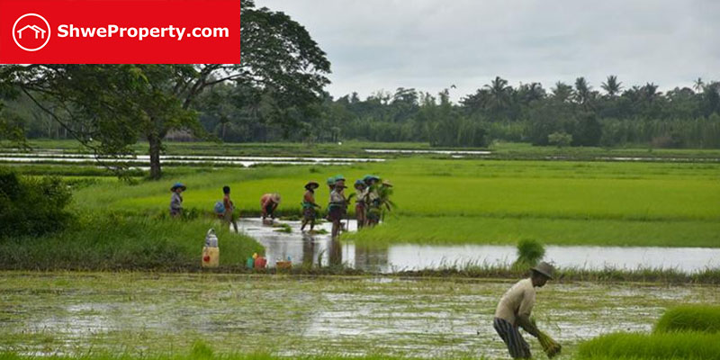 အိမ် ခြံ မြေ ဝယ်ယူလိုသူများ သတိပြုစရာ မြို့သစ်စီမံကိန်းဟုဆိုကာ အကွက်ရိုက်ရောင်းချနေသော လယ်ယာမြေကို ဝယ်မည်ဆိုလျှင်