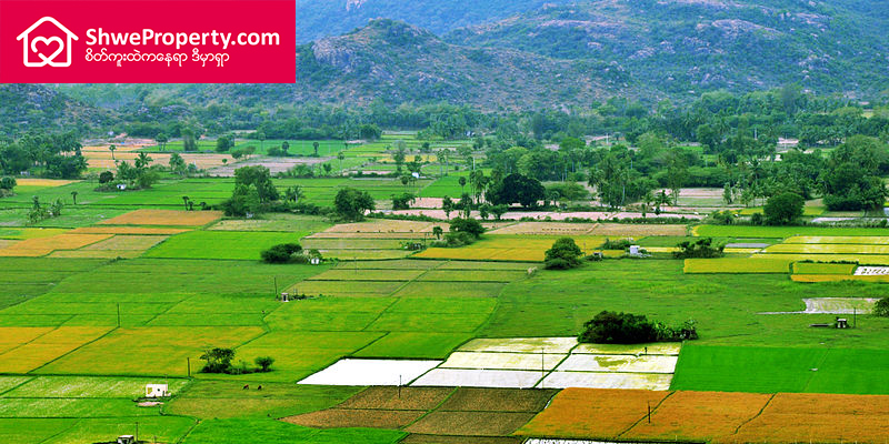 ကျေးရွာမြေ တစ်ခုကို ပိုင်ဆိုင်မှု ခိုင်မာအောင် ဘယ်လို လုပ်ထားရမလဲ