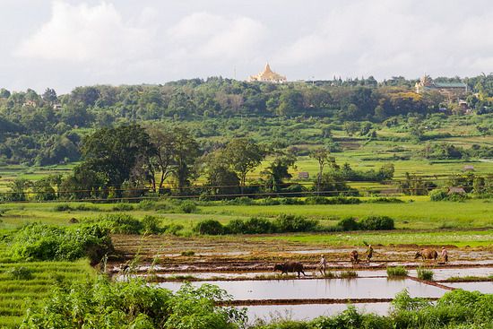 မြို့ ပြင်လယ်မြေများ သုံးလအတွင်း ပေါက်ဈေးထက် နှစ်ဆတက်